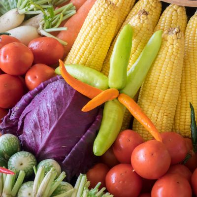 Nutrição Dietética